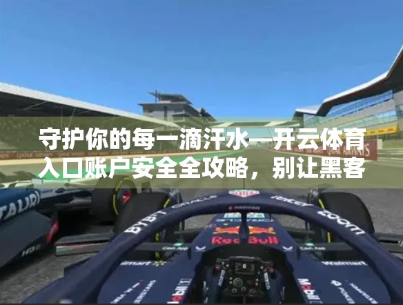 守护你的每一滴汗水—开云体育入口账户安全全攻略，别让黑客偷走你的运动梦想！