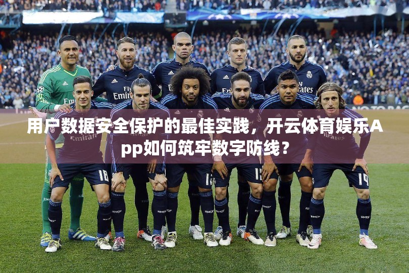 用户数据安全保护的最佳实践，开云体育娱乐App如何筑牢数字防线？