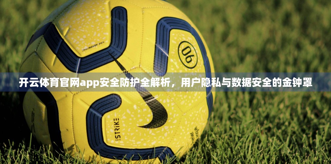 开云体育官网app安全防护全解析，用户隐私与数据安全的金钟罩