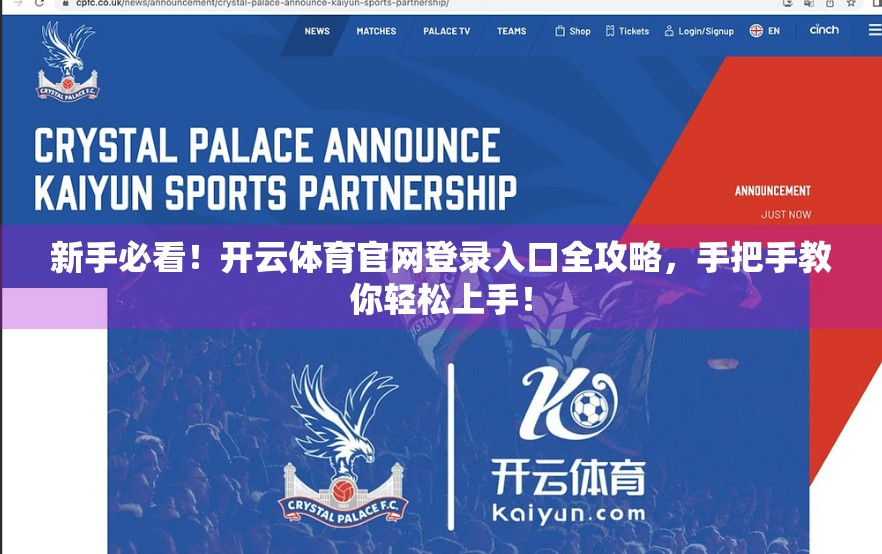 新手必看！开云体育官网登录入口全攻略，手把手教你轻松上手！