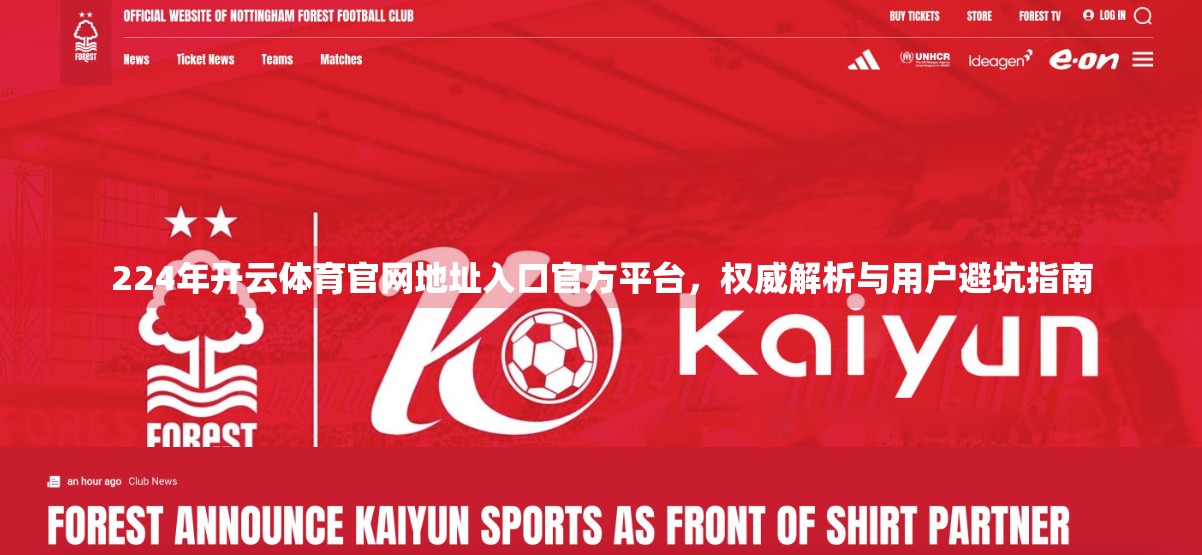224年开云体育官网地址入口官方平台，权威解析与用户避坑指南