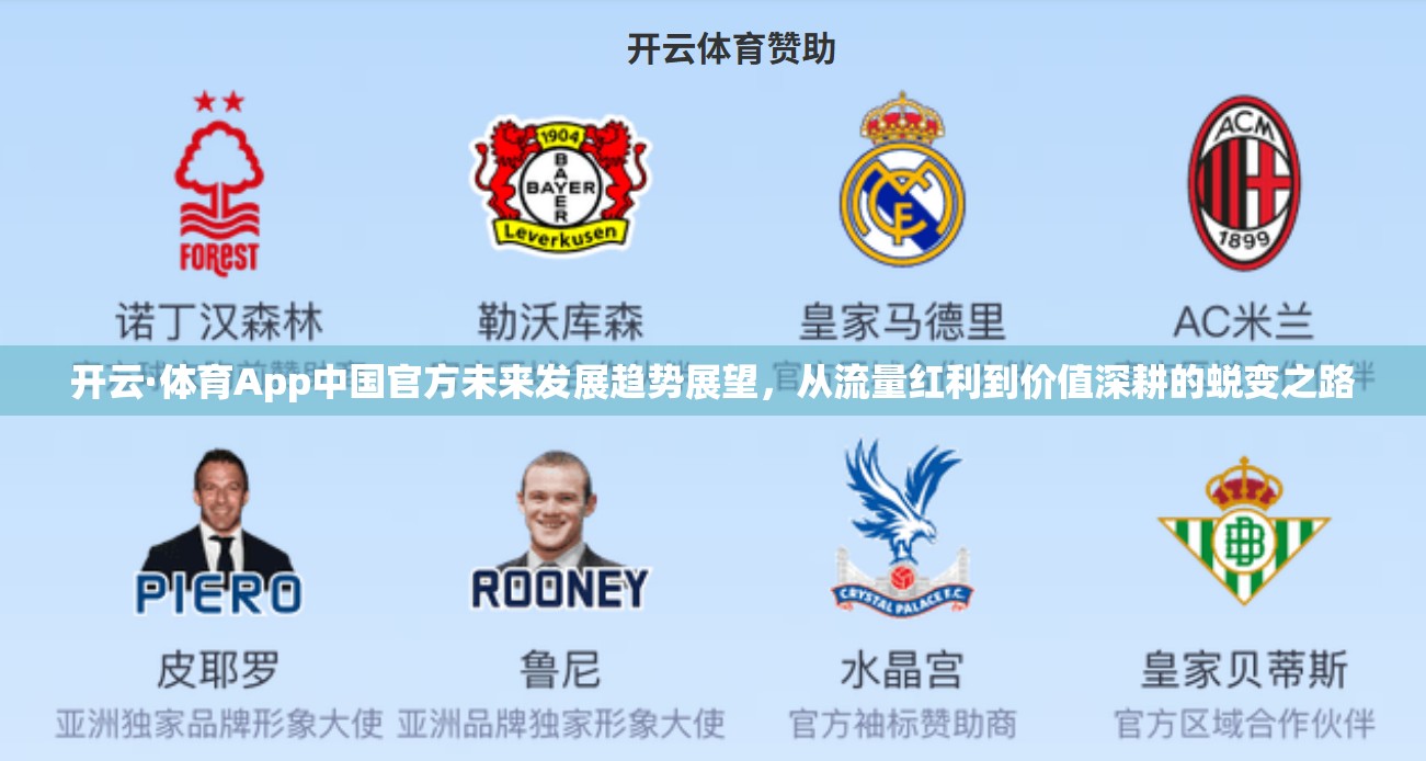 开云·体育App中国官方未来发展趋势展望，从流量红利到价值深耕的蜕变之路