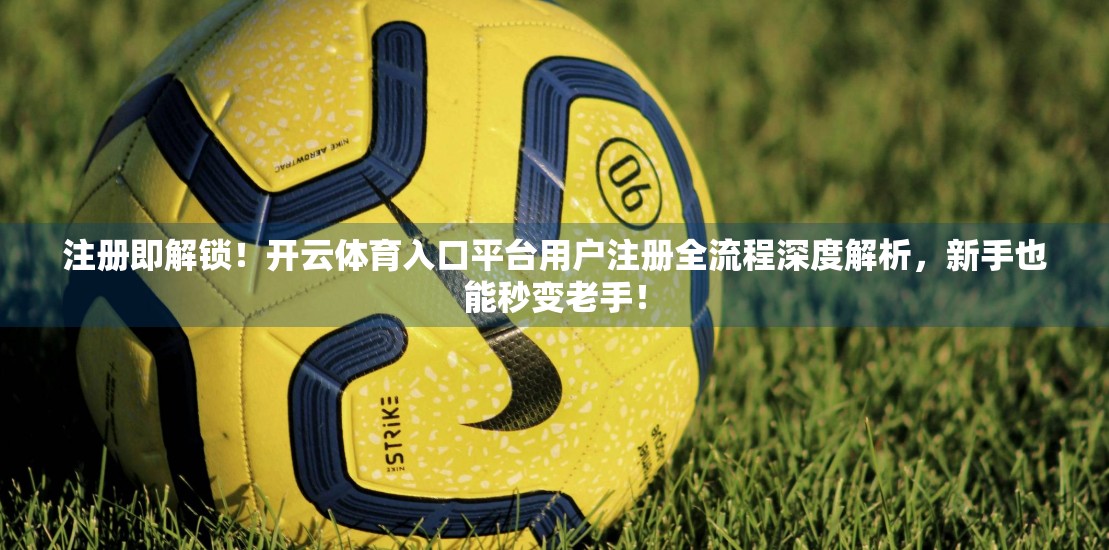 注册即解锁！开云体育入口平台用户注册全流程深度解析，新手也能秒变老手！