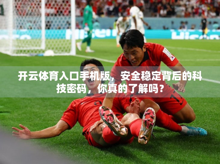 开云体育入口手机版，安全稳定背后的科技密码，你真的了解吗？