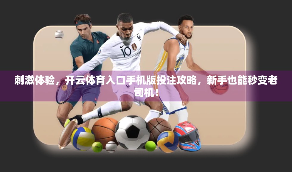 刺激体验，开云体育入口手机版投注攻略，新手也能秒变老司机！