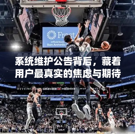 系统维护公告背后，藏着用户最真实的焦虑与期待—开云体育入口官网的隐形服务升级启示录