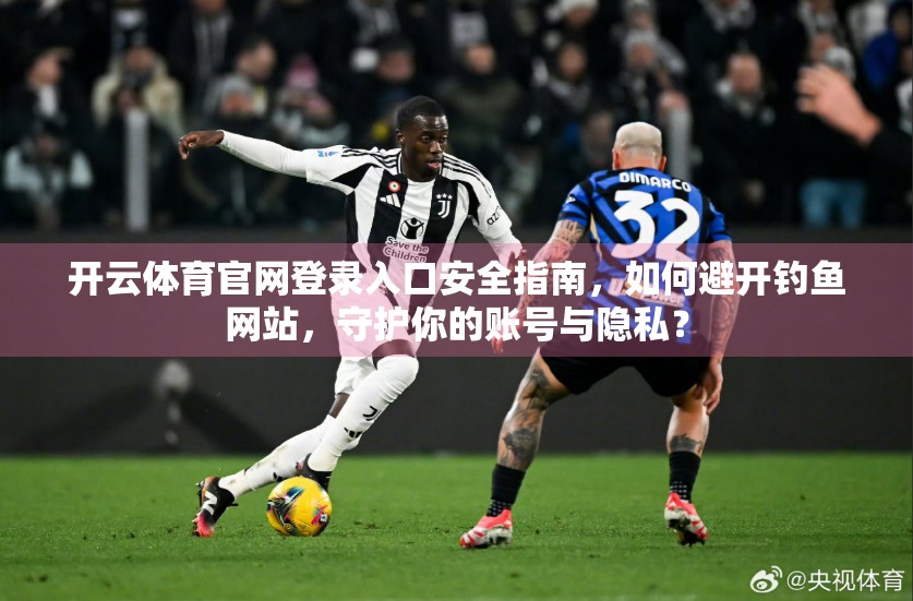 开云体育官网登录入口安全指南，如何避开钓鱼网站，守护你的账号与隐私？