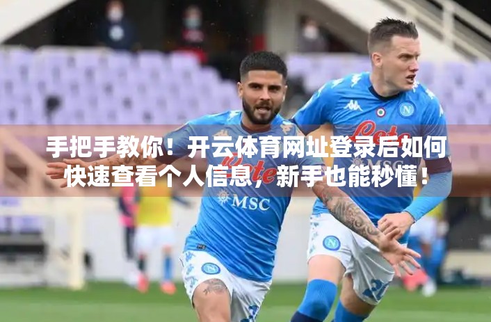 手把手教你！开云体育网址登录后如何快速查看个人信息，新手也能秒懂！