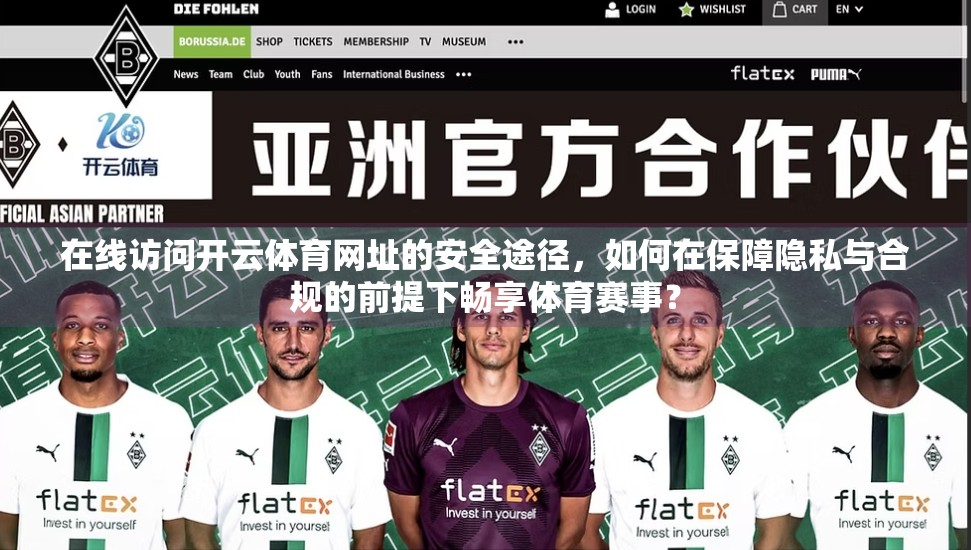 在线访问开云体育网址的安全途径，如何在保障隐私与合规的前提下畅享体育赛事？