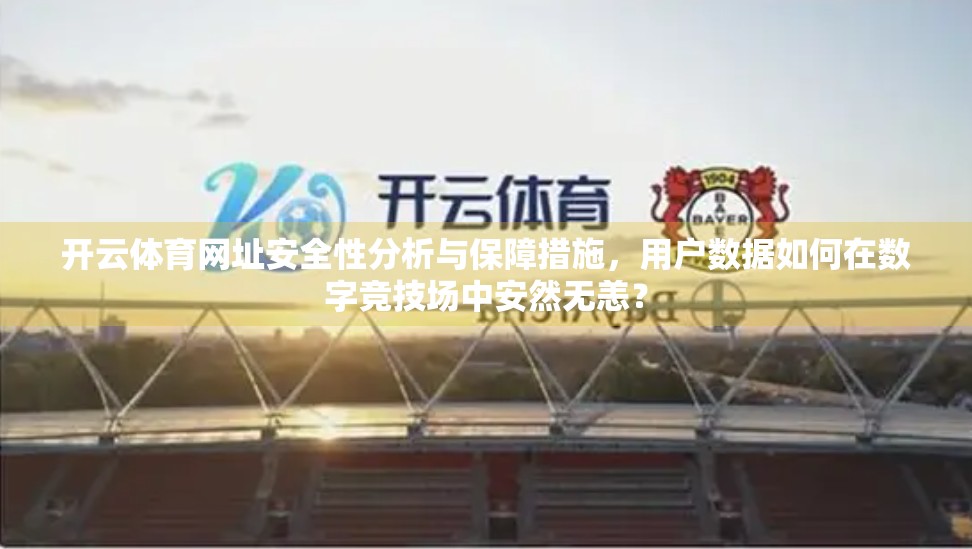 开云体育网址安全性分析与保障措施，用户数据如何在数字竞技场中安然无恙？