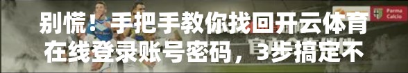 别慌！手把手教你找回开云体育在线登录账号密码，3步搞定不求人！