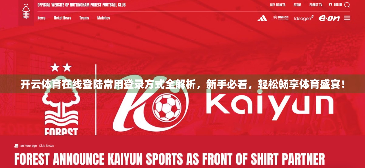 开云体育在线登陆常用登录方式全解析，新手必看，轻松畅享体育盛宴！