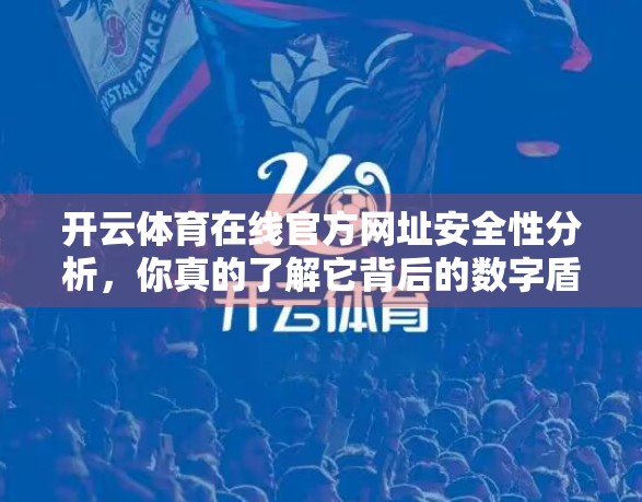 开云体育在线官方网址安全性分析，你真的了解它背后的数字盾牌吗？