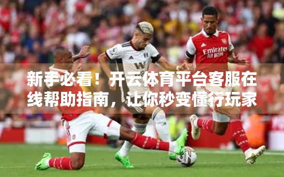 新手必看！开云体育平台客服在线帮助指南，让你秒变懂行玩家