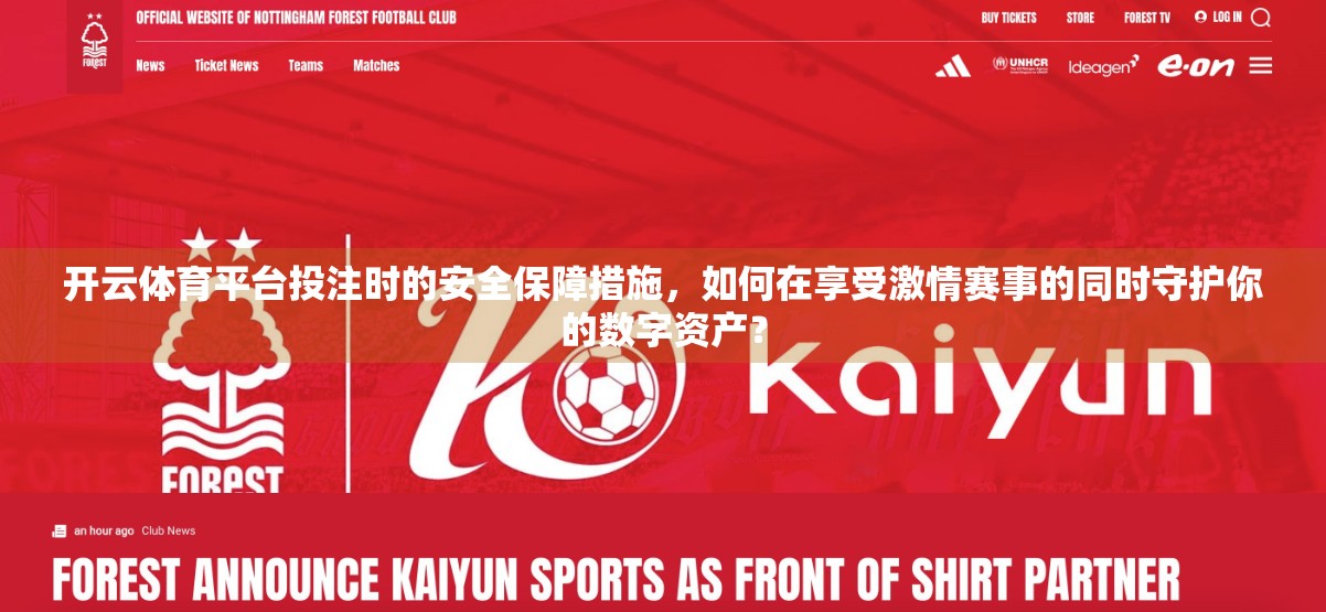 开云体育平台投注时的安全保障措施，如何在享受激情赛事的同时守护你的数字资产？