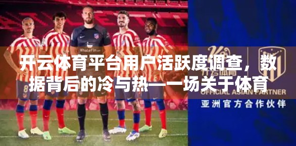 开云体育平台用户活跃度调查，数据背后的冷与热—一场关于体育爱好者的深度对话