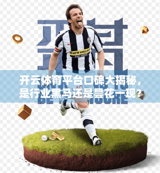 开云体育平台口碑大揭秘，是行业黑马还是昙花一现？