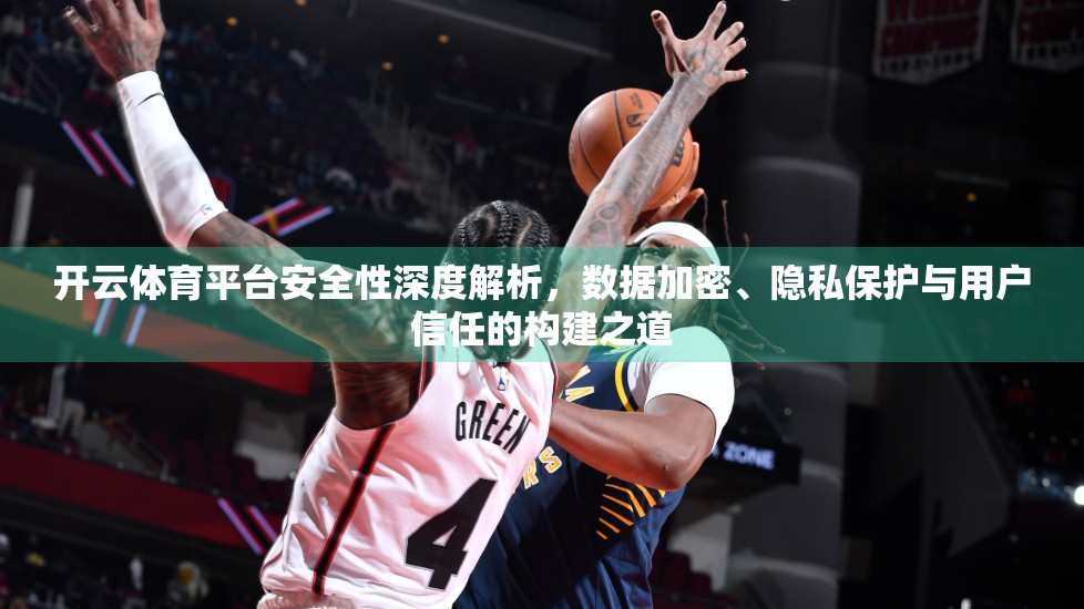 开云体育平台安全性深度解析，数据加密、隐私保护与用户信任的构建之道