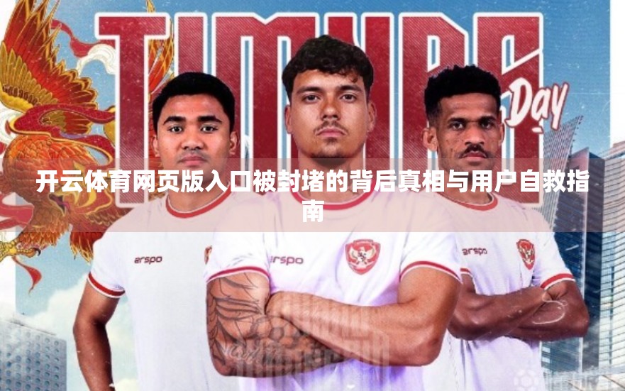 开云体育网页版入口被封堵的背后真相与用户自救指南