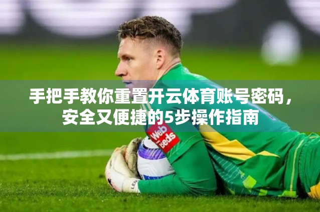 手把手教你重置开云体育账号密码，安全又便捷的5步操作指南