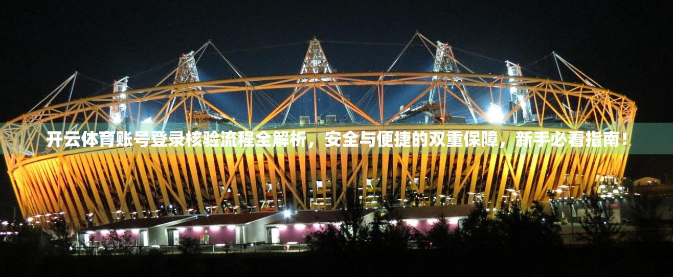 开云体育账号登录核验流程全解析，安全与便捷的双重保障，新手必看指南！