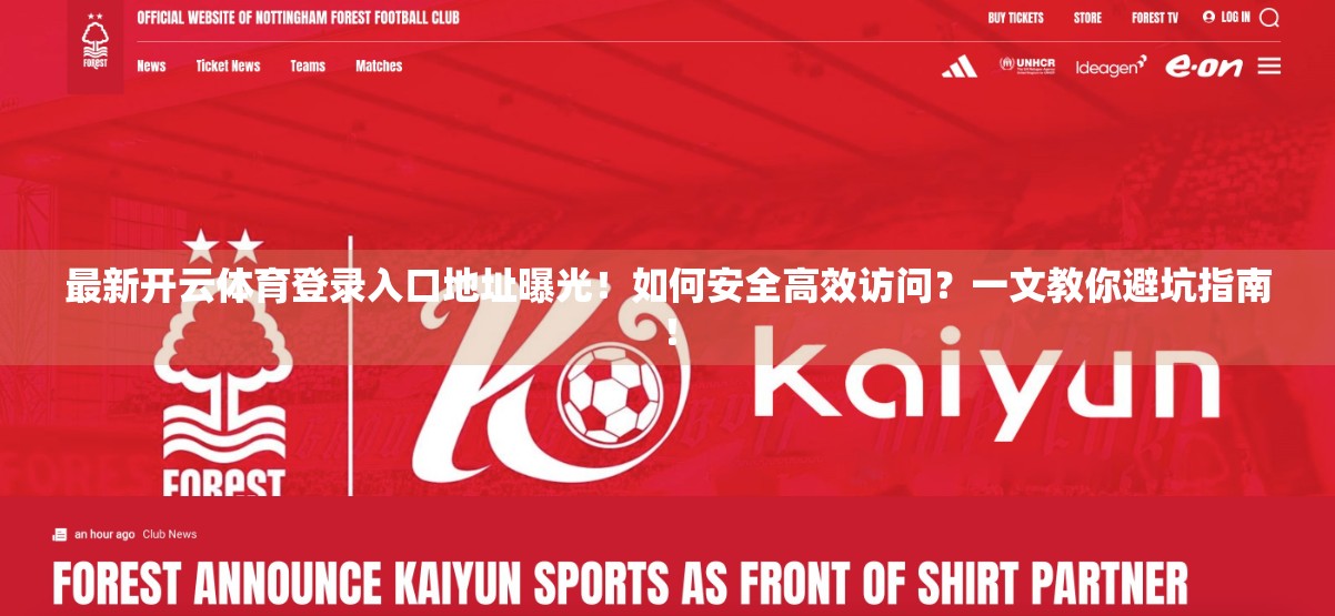 最新开云体育登录入口地址曝光！如何安全高效访问？一文教你避坑指南！