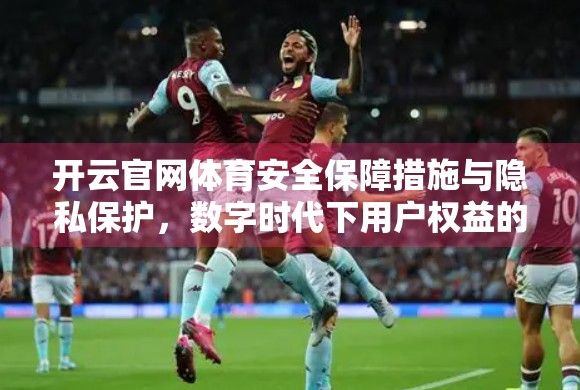 开云官网体育安全保障措施与隐私保护，数字时代下用户权益的隐形盾牌