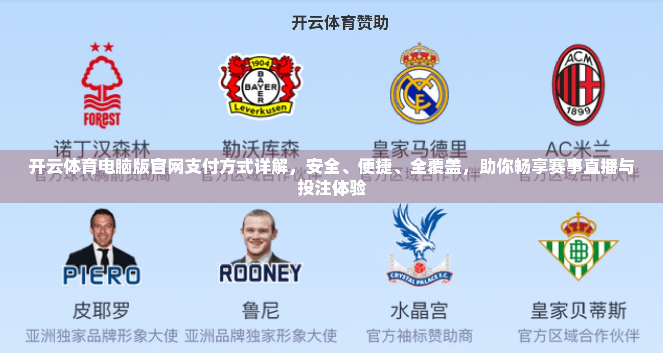开云体育电脑版官网支付方式详解，安全、便捷、全覆盖，助你畅享赛事直播与投注体验