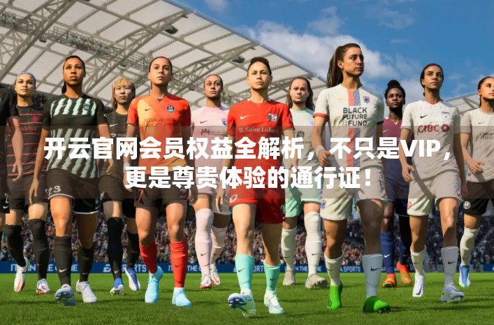 开云官网会员权益全解析，不只是VIP，更是尊贵体验的通行证！