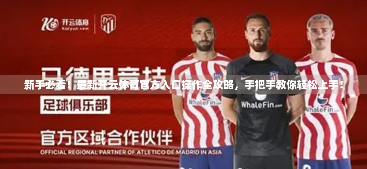 新手必看！最新开云体育官方入口操作全攻略，手把手教你轻松上手！