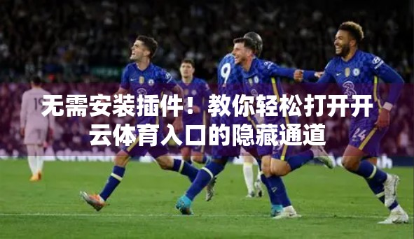 无需安装插件！教你轻松打开开云体育入口的隐藏通道