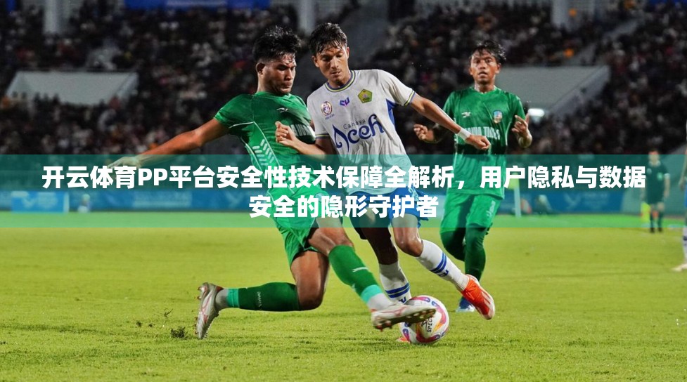 开云体育PP平台安全性技术保障全解析，用户隐私与数据安全的隐形守护者