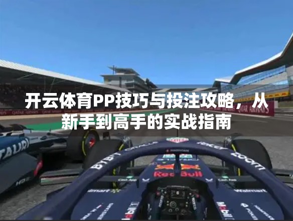 开云体育PP技巧与投注攻略，从新手到高手的实战指南