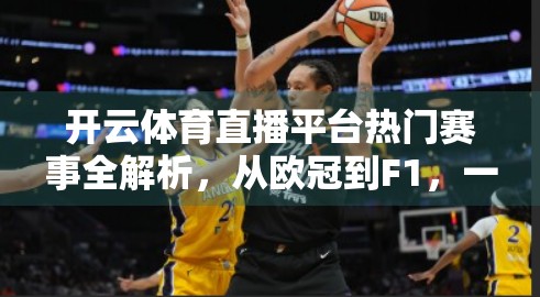 开云体育直播平台热门赛事全解析，从欧冠到F1，一场精彩不容错过！