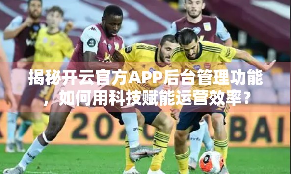 揭秘开云官方APP后台管理功能，如何用科技赋能运营效率？