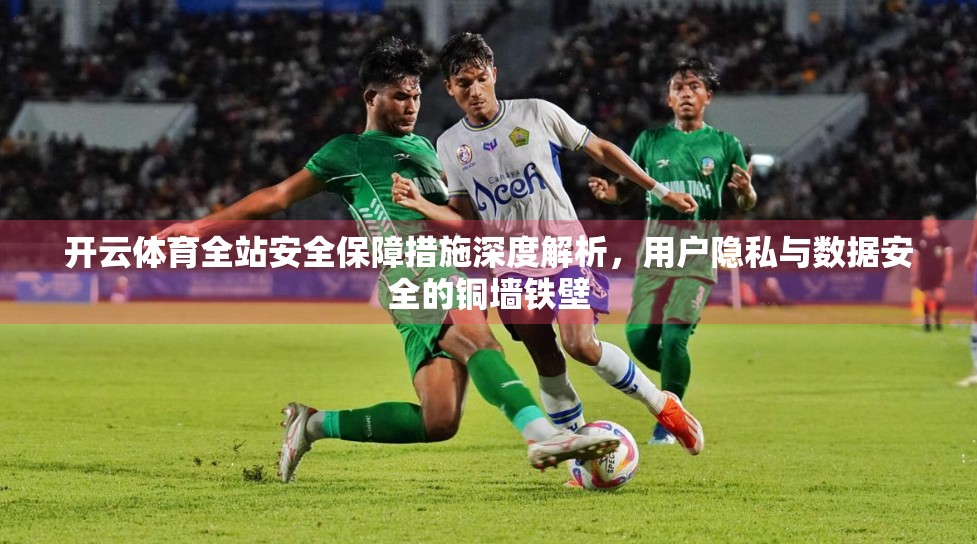 开云体育全站安全保障措施深度解析，用户隐私与数据安全的铜墙铁壁