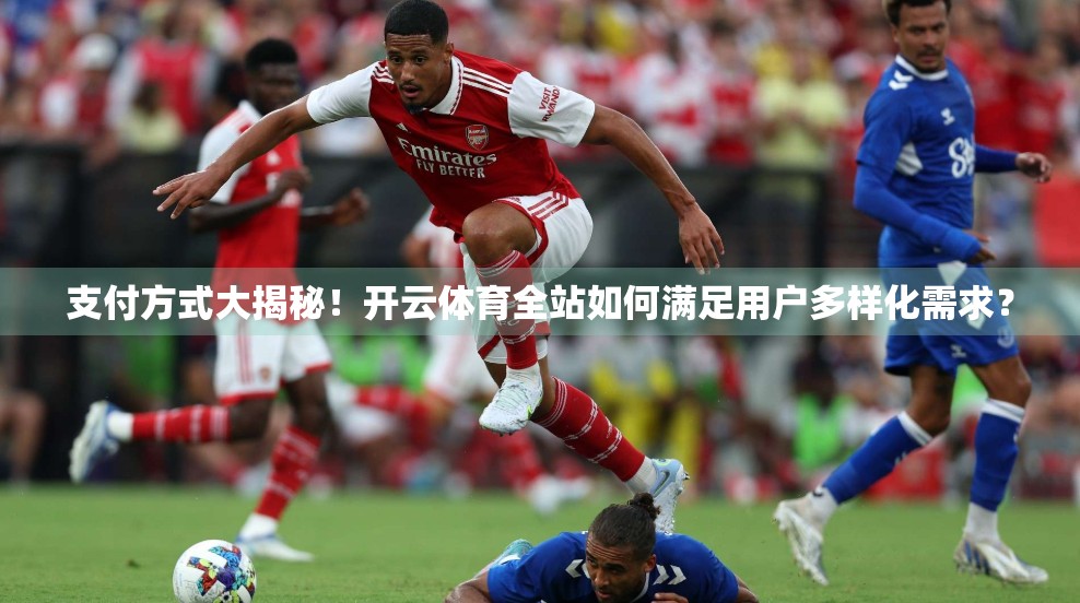 支付方式大揭秘！开云体育全站如何满足用户多样化需求？