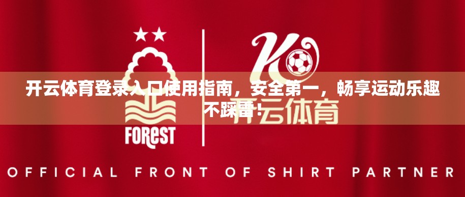 开云体育登录入口使用指南，安全第一，畅享运动乐趣不踩雷！
