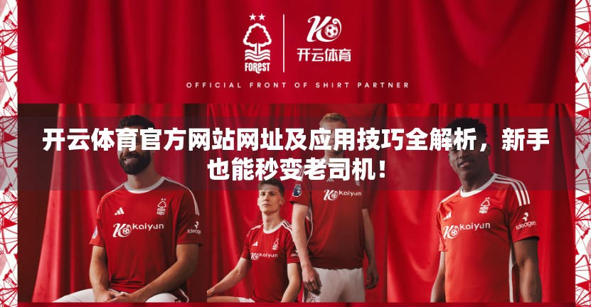 开云体育官方网站网址及应用技巧全解析，新手也能秒变老司机！
