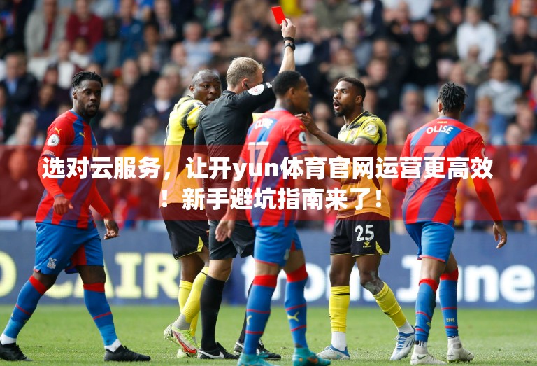 选对云服务，让开yun体育官网运营更高效！新手避坑指南来了！