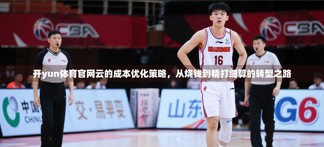 开yun体育官网云的成本优化策略，从烧钱到精打细算的转型之路