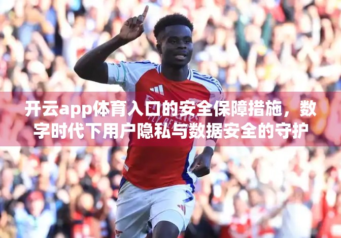 开云app体育入口的安全保障措施，数字时代下用户隐私与数据安全的守护者