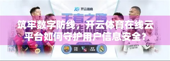 筑牢数字防线，开云体育在线云平台如何守护用户信息安全？