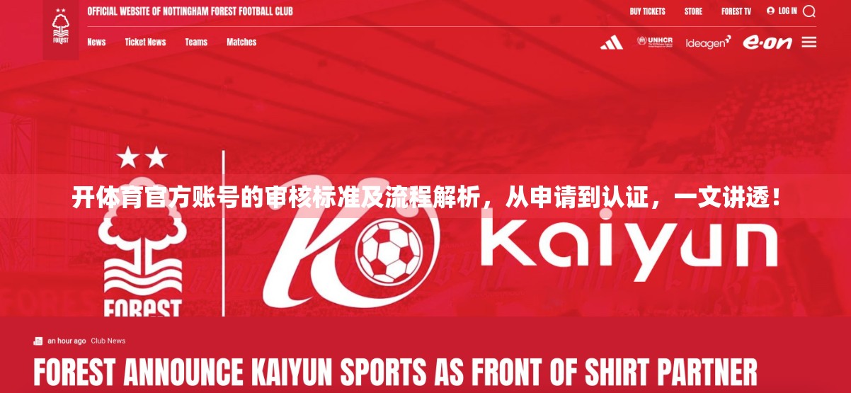 开体育官方账号的审核标准及流程解析，从申请到认证，一文讲透！