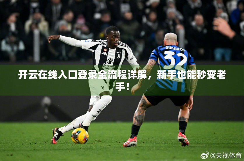 开云在线入口登录全流程详解，新手也能秒变老手！