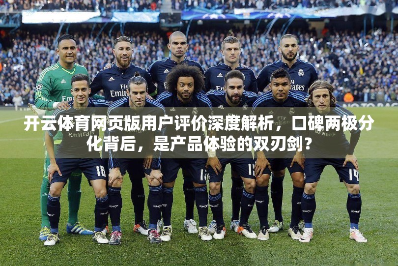 开云体育网页版用户评价深度解析，口碑两极分化背后，是产品体验的双刃剑？
