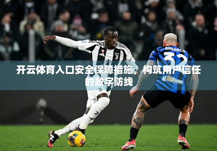 开云体育入口安全保障措施，构筑用户信任的数字防线