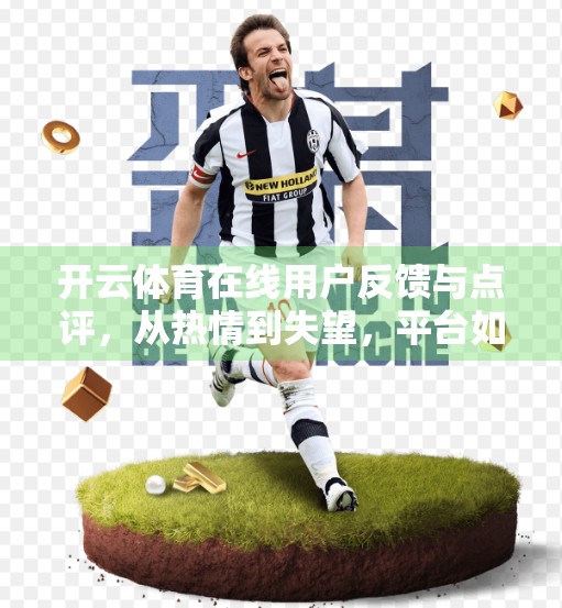 开云体育在线用户反馈与点评，从热情到失望，平台如何重塑用户体验？