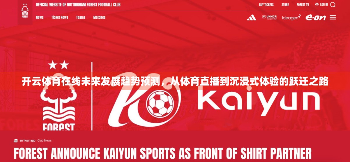 开云体育在线未来发展趋势预测，从体育直播到沉浸式体验的跃迁之路